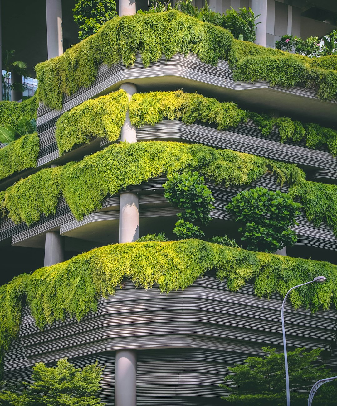 Sustainable Home Design